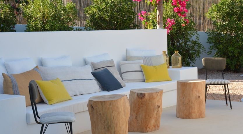 Photo of The Apricot Tree