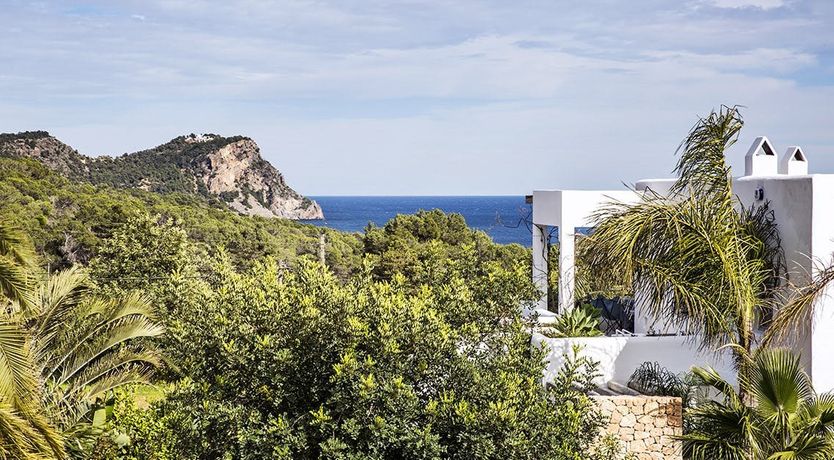 Photo of The Apricot Tree