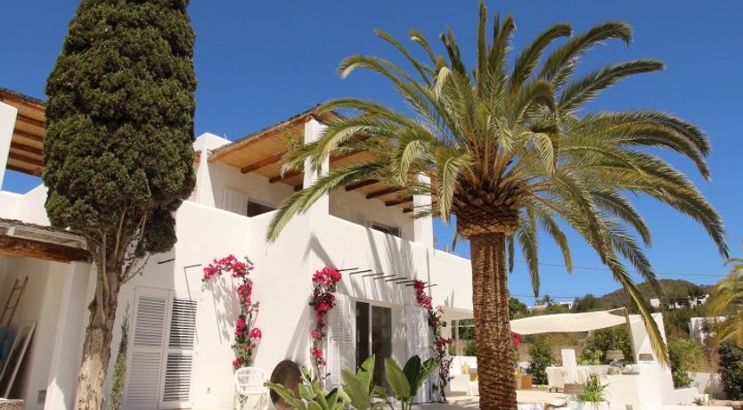 Photo of The Apricot Tree