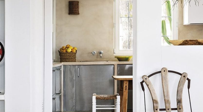 Photo of The Apricot Tree