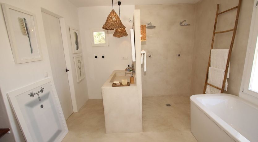 Photo of The Apricot Tree