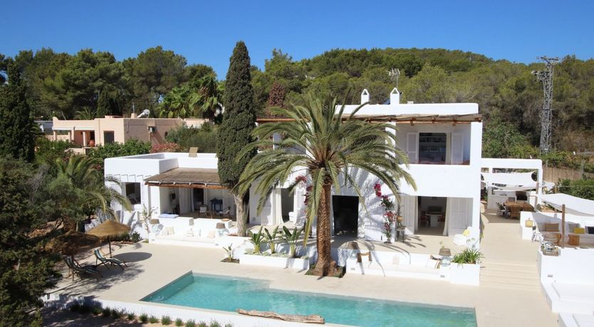 Photo of The Apricot Tree