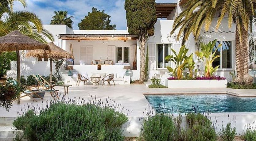 Photo of The Apricot Tree