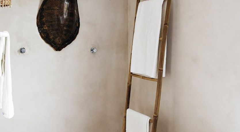 Photo of The Apricot Tree