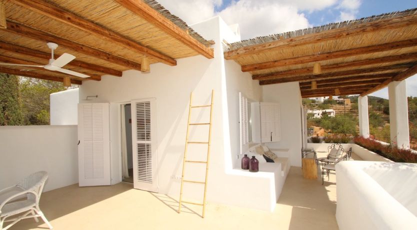 Photo of The Apricot Tree