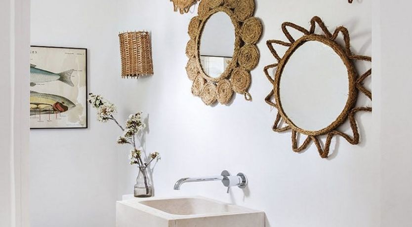 Photo of The Apricot Tree