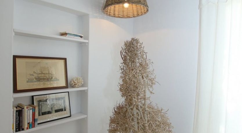 Photo of The Apricot Tree