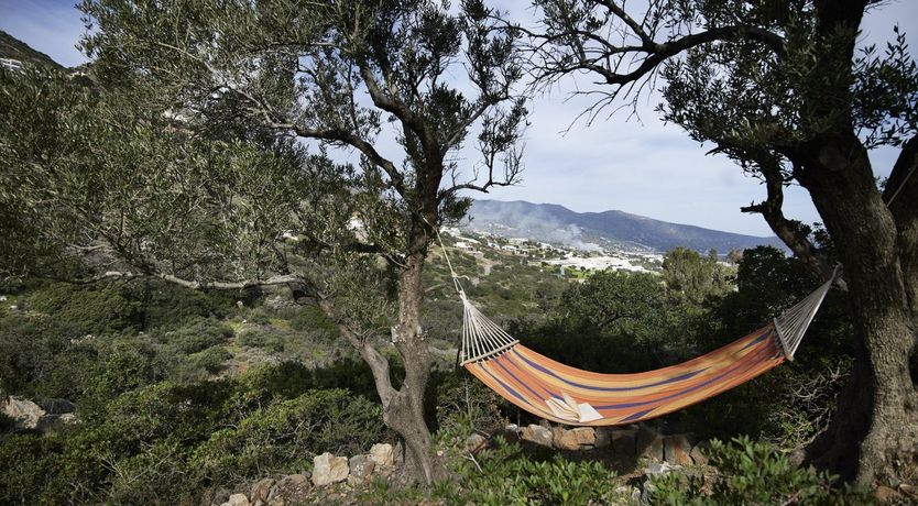 Photo of The Greek Eye