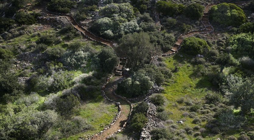 Photo of The Greek Eye