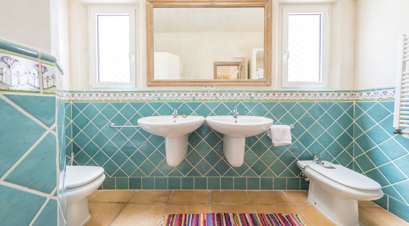 Photo of Gazing out to the World