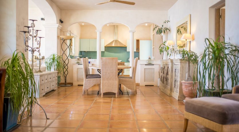 Photo of Gazing out to the World