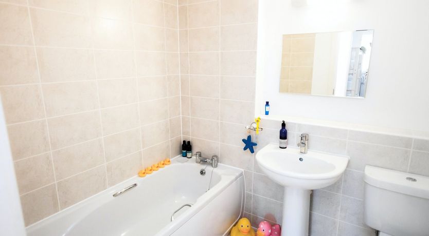 Photo of The Reed Hunter