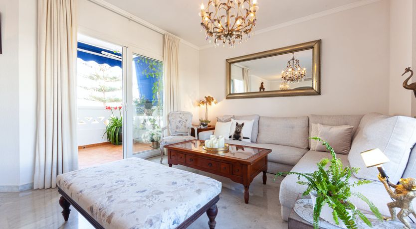 Photo of Save the Sunshine