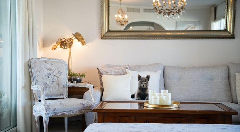 Photo of Save the Sunshine