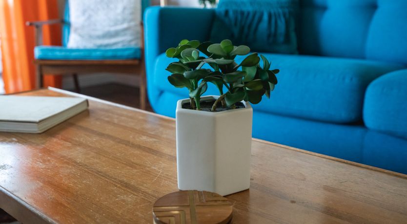 Photo of Miss Monica