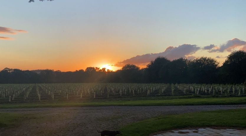 Photo of The King's Gate