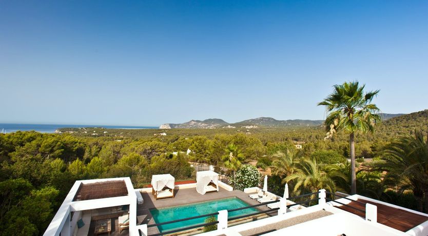 Photo of Cicadas Sway