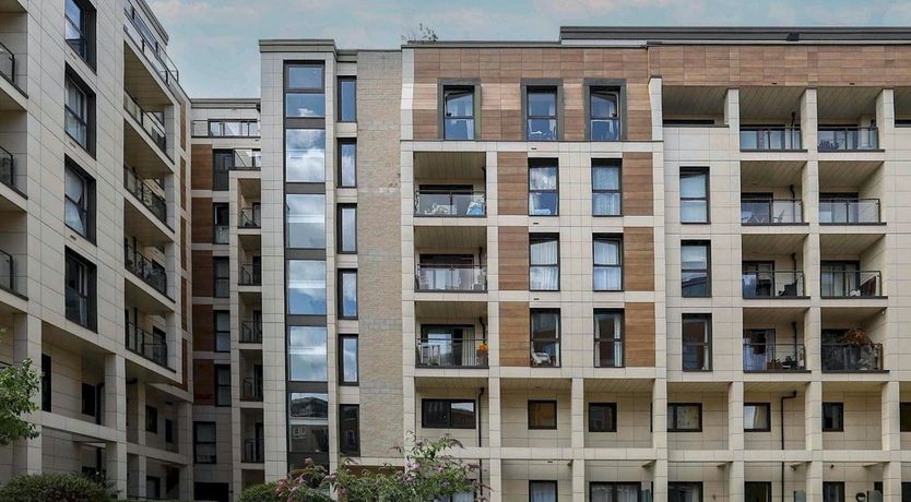 Photo of The King and the River