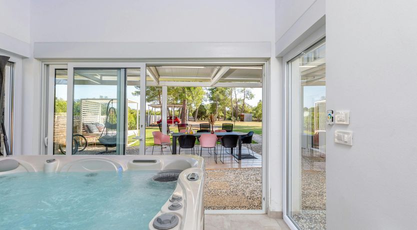 Photo of The Golden Colours