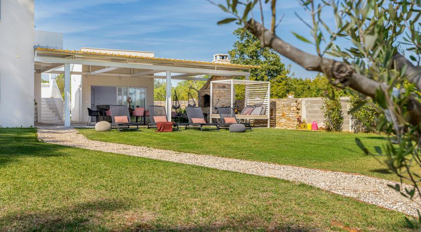 Photo of The Golden Colours