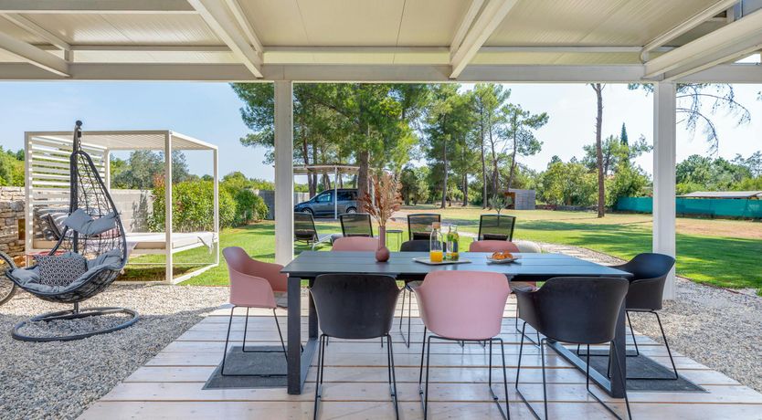 Photo of The Golden Colours