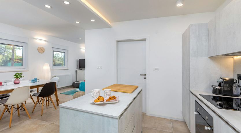 Photo of The Golden Colours