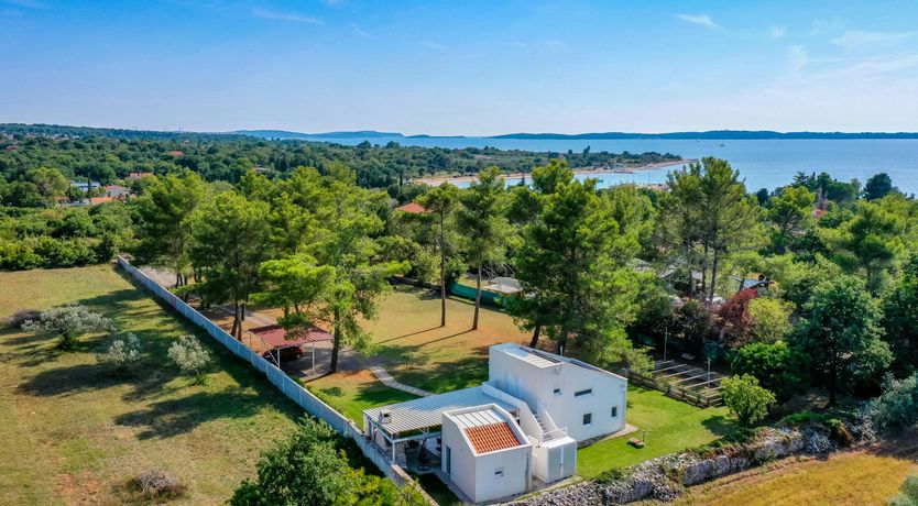 Photo of The Golden Colours