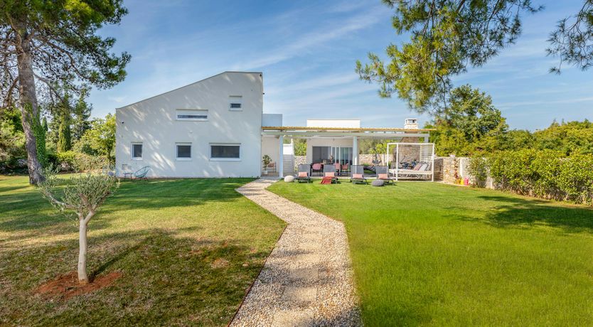 Photo of The Golden Colours