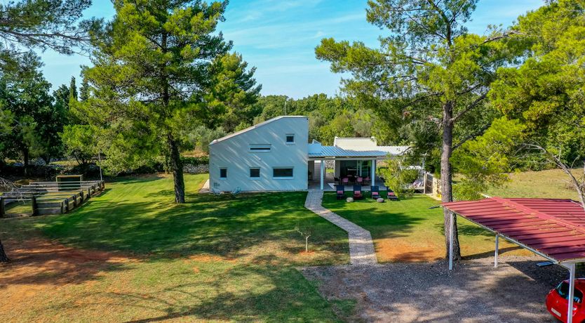 Photo of The Golden Colours