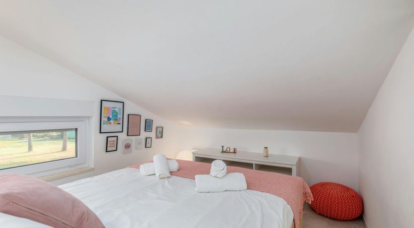 Photo of The Golden Colours