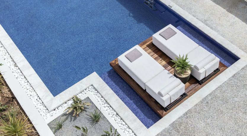 Photo of The White Tangerine