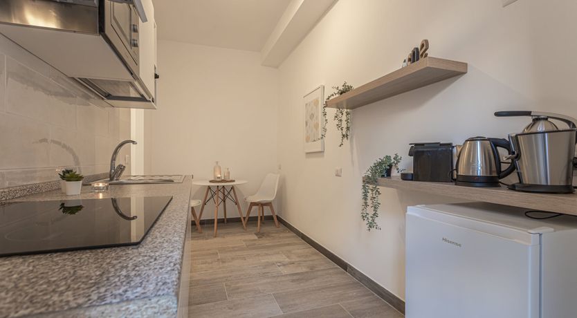 Photo of Daffodil Blooms