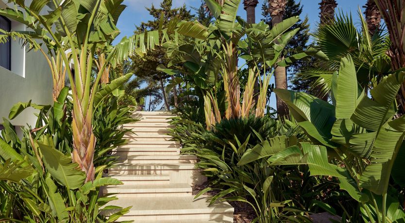 Photo of Atlas' Outlook