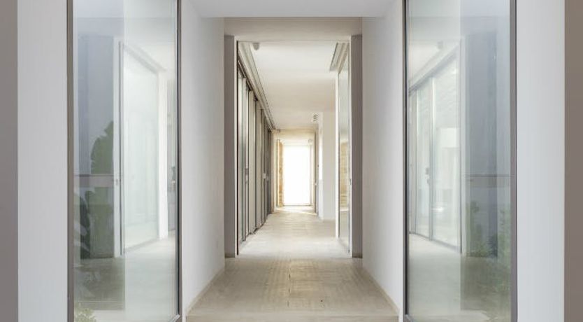 Photo of Living the Dream