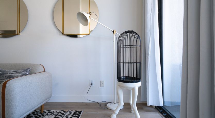 Photo of In Pursuit Of Colour