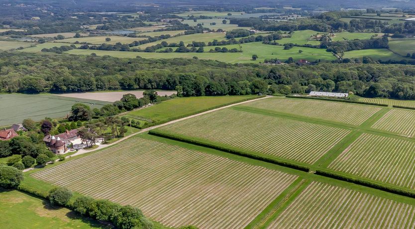 Photo of Vineyard Retreat