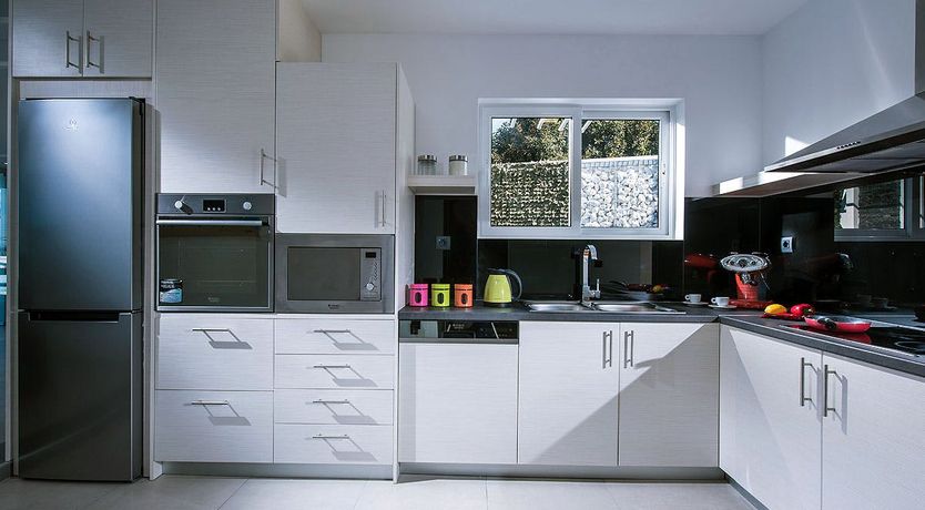 Photo of Nerium Oleander