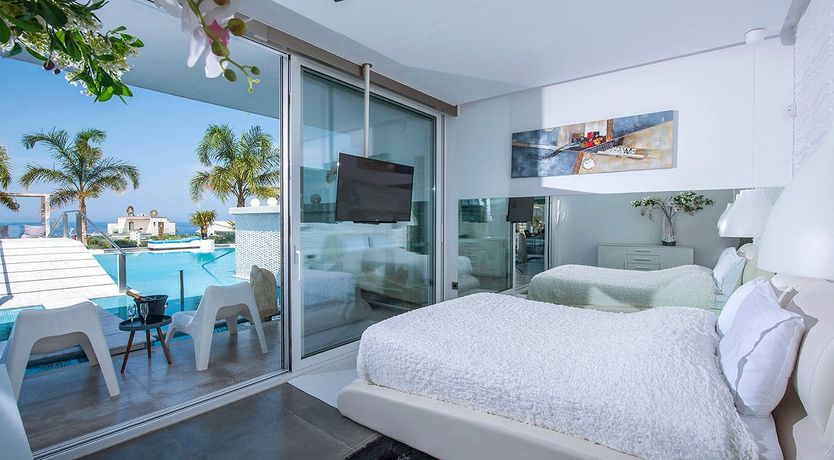 Photo of Nerium Oleander