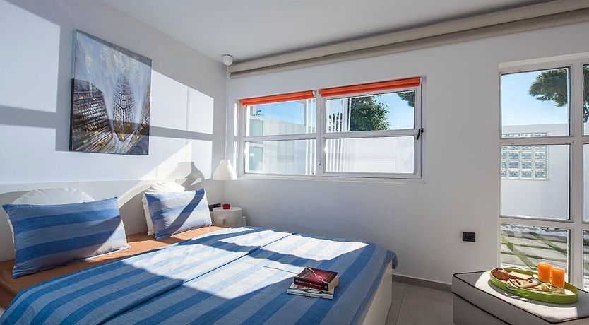 Photo of Nerium Oleander