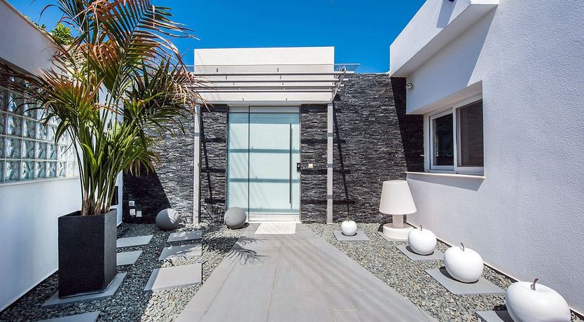 Photo of Nerium Oleander