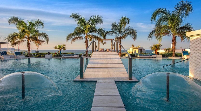 Photo of Nerium Oleander