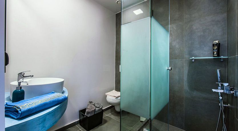 Photo of Nerium Oleander