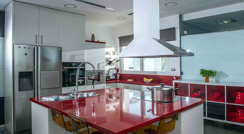 Photo of Nerium Oleander