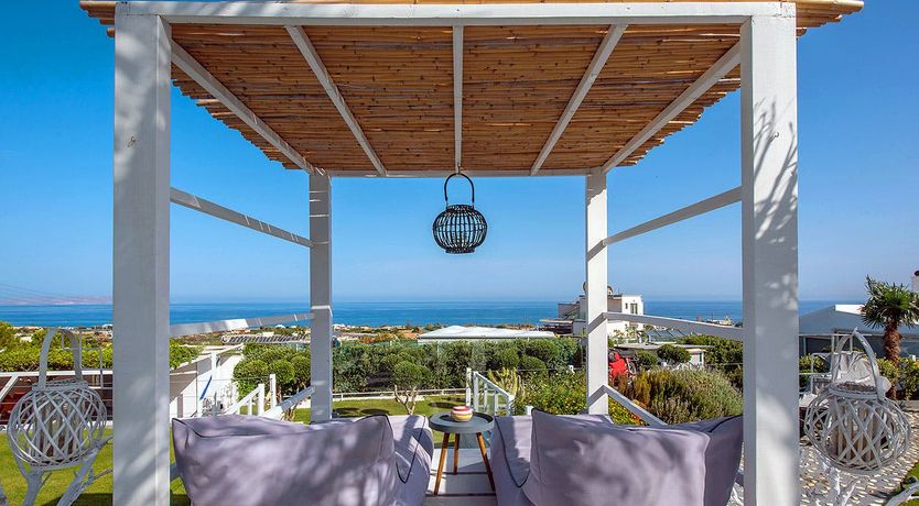 Photo of Nerium Oleander