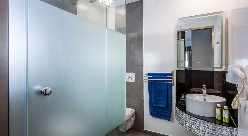 Photo of Nerium Oleander