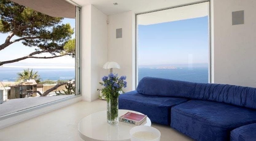 Photo of Zebras Play Tag Too