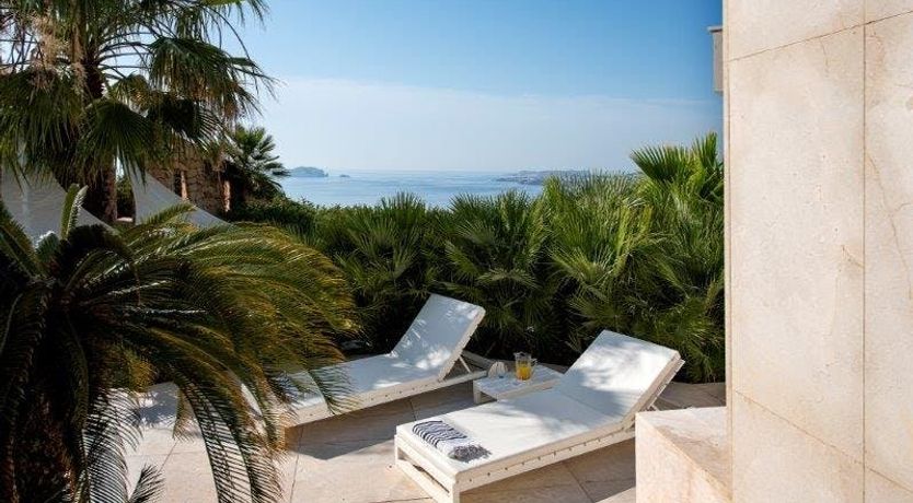 Photo of Zebras Play Tag Too