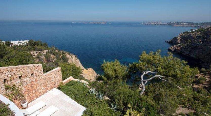 Photo of Zebras Play Tag Too