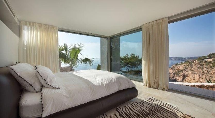 Photo of Zebras Play Tag Too