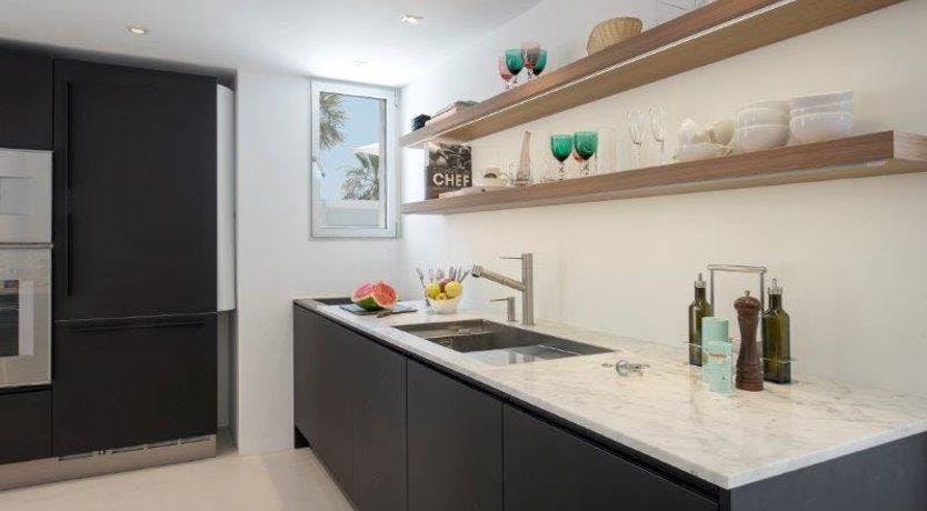 Photo of Zebras Play Tag Too